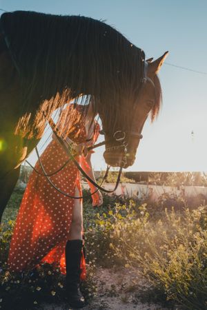 Young woman with horse on ranch