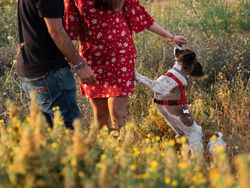 Happy active couple playing with dog outdoors