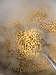 Boiling Yellow Soybeans in a Traditional Pot