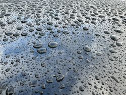 A wet surface with many small water droplets scattered across it