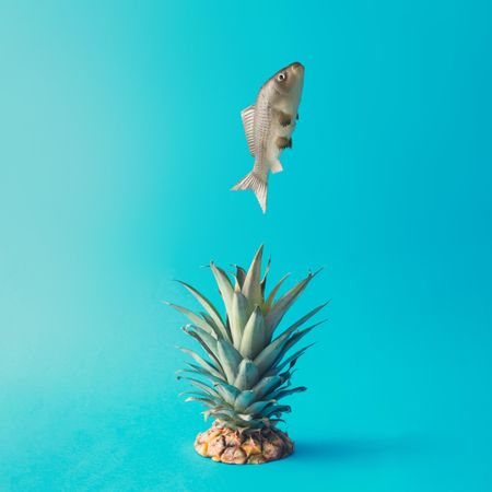 Fish jumping out of of water with pineapple top creating splash