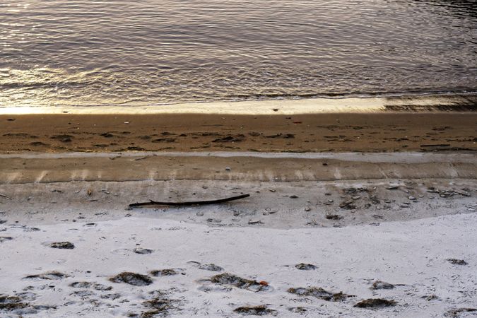 Sandy seashore covered with snow in winter