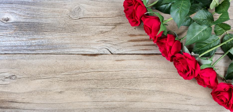 Traditional red roses on weathered wood for the holidays