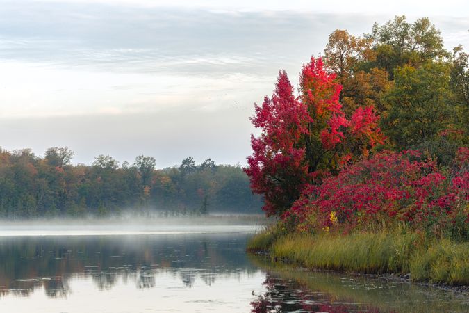 Fall colors and morning fog on Brown Lake in McGregor, MN