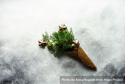 Christmas holiday concept with cone full of green thuja and star ornaments 5wZ390