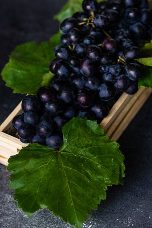 Box of delicious fresh red grapes with leaves on counter with copy space
