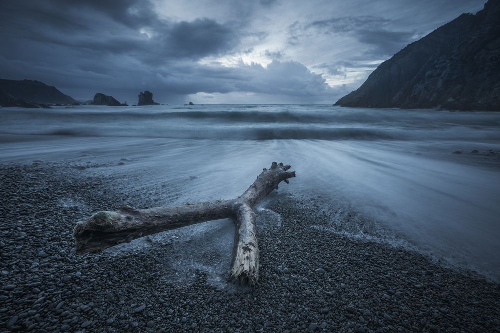 Log lying on stony beach around waves