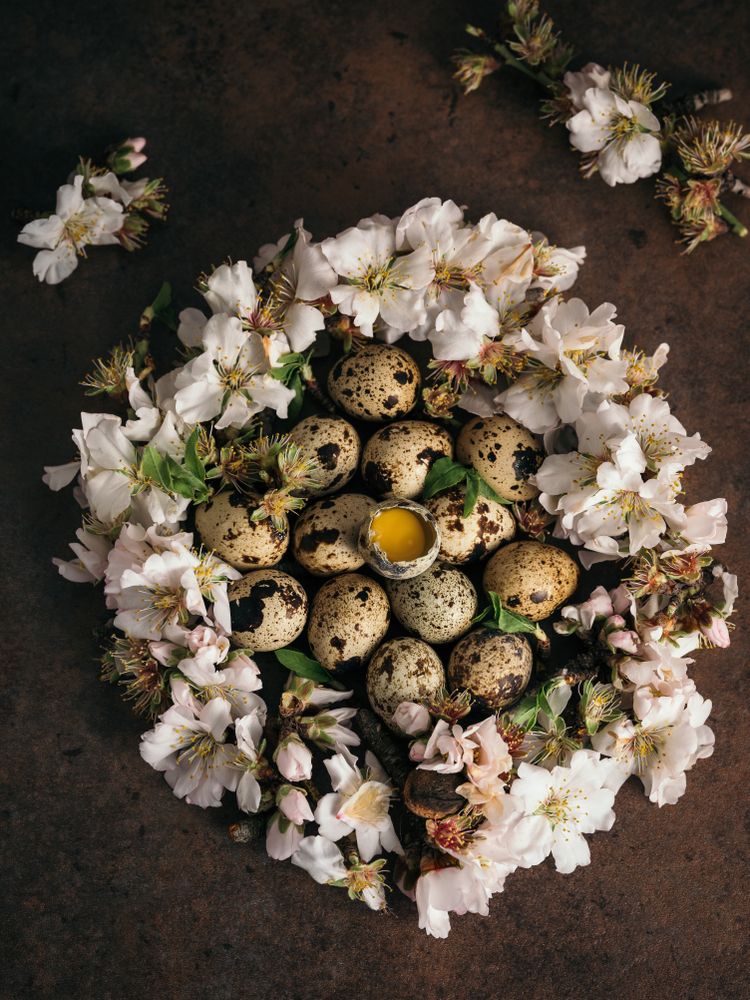Raw quail eggs with flowers on brown table