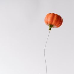 Halloween pumpkin balloon
