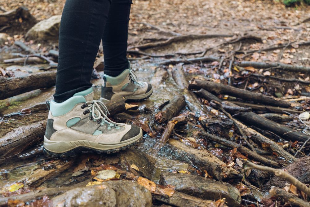 Legs of traveler in casual outfit exploring autumn forest