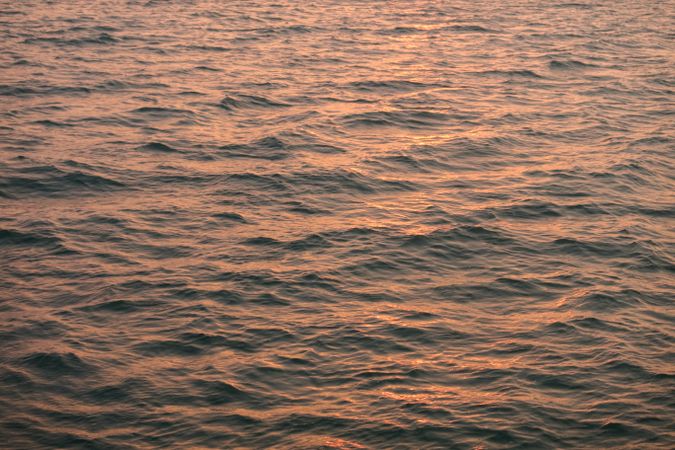 sun-drenched sea