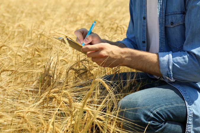 Young man with clipboard in barley field. Agriculture business. Farming