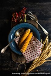 Autumn table setting with polka dot napkin, corn, wheat and berry garnish 49vWyb