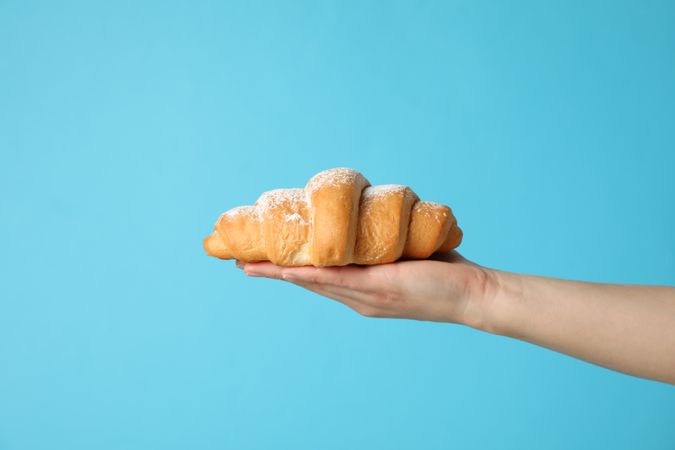 Female hand holding croissant on blue background, space for text