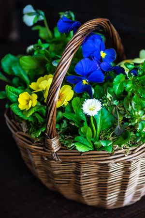 Thatched basket of yellow and blue spring flowers