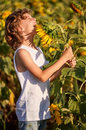 Smiling child standing with sunflower on meadow