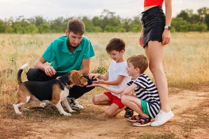 Family of Four Having Fun Playing with Pet In Rural Settings