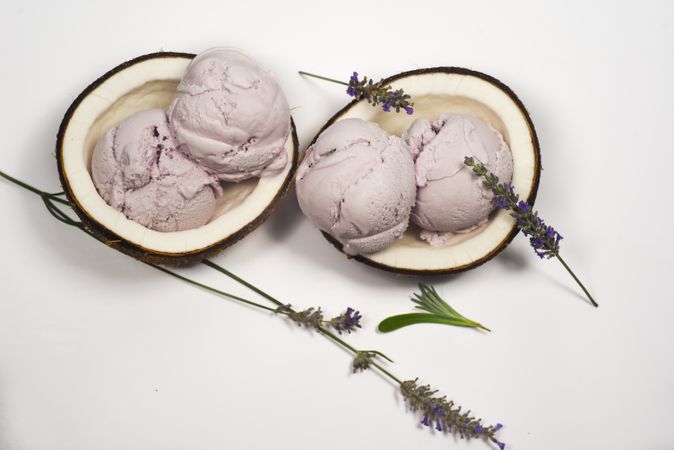 Top view of coconut shells with delicious purple ice cream and lavender garnish