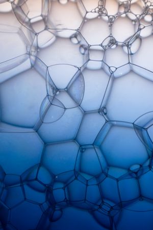 Abstract background bio technology, macro photography foam and water with gradient background. Molecule multicolor backgorund