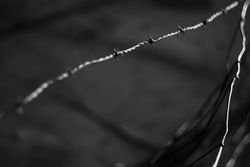 Tense barbed wire