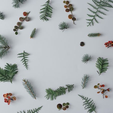 Christmas tree branches, autumn leaves, fir branches on light table background