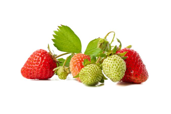 Tasty red strawberry isolated on plain background. Summer berry