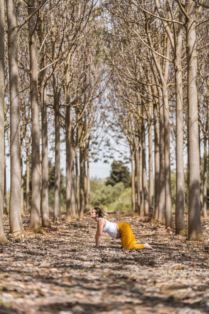 Adult expectant mother practicing yoga in park during sunny day
