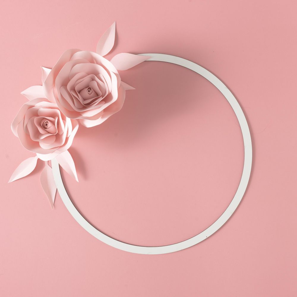 Paper rose flower, leaves and petals with circle frame on pink background