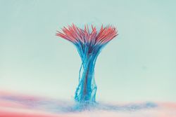 Pink daisy flower with pastel blue ink