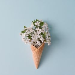 Ice cream cone with flowers and leaves