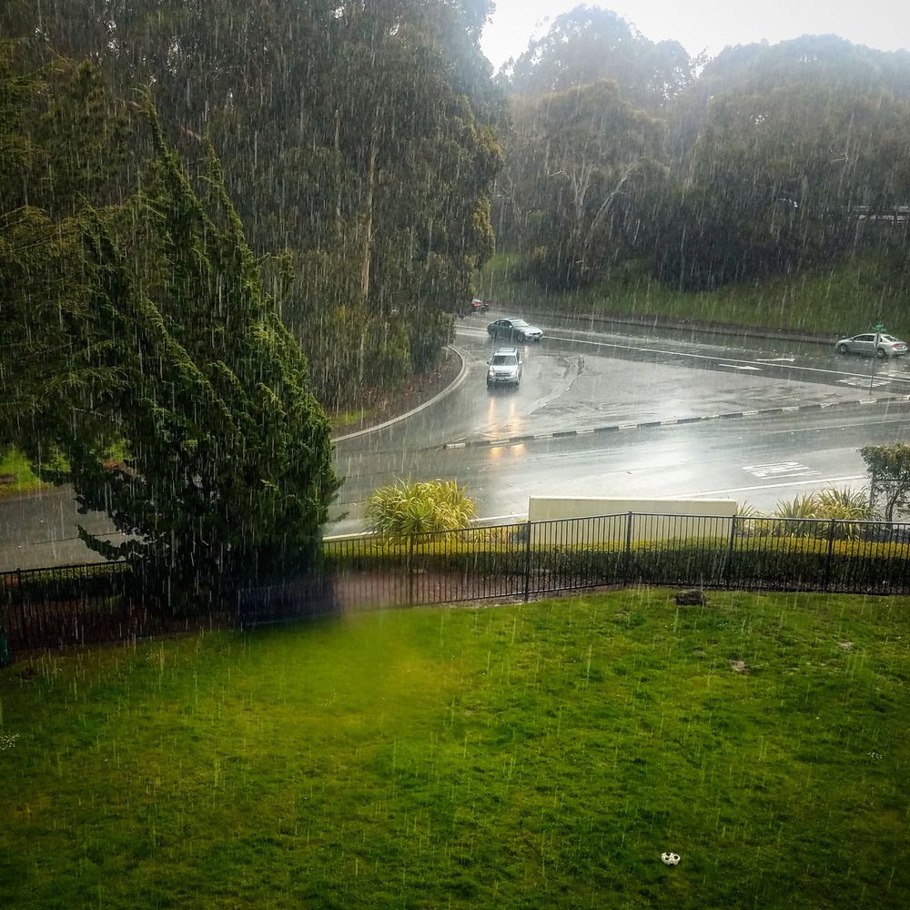 Raining on grass and street scene