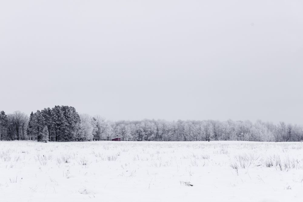 Snowy field with red lodge in the distance