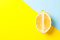 Fresh lemon on two tone background, space for text