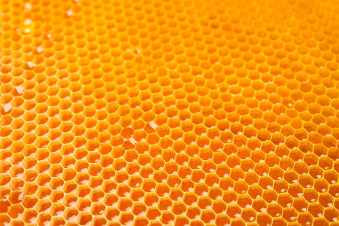 Honeycombs with sweet golden honey on whole background, close up