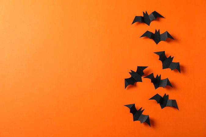Decorative bats on orange background, space for text