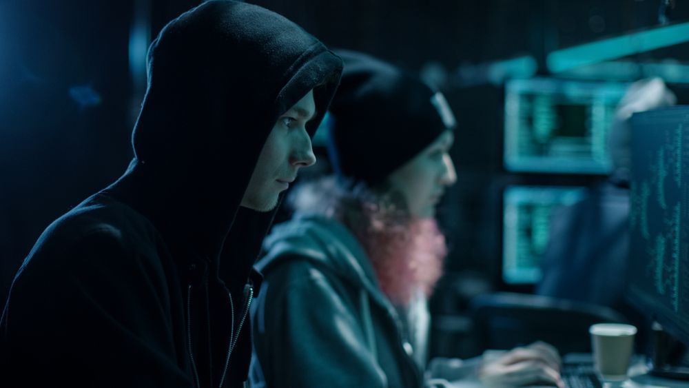 Close-up Shot of Hackers Team Working on Their Computers.