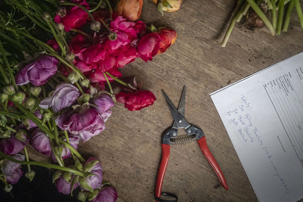 Copake, New York - May 19, 2022: Wooden desk in flower shop with cut flowers and shears