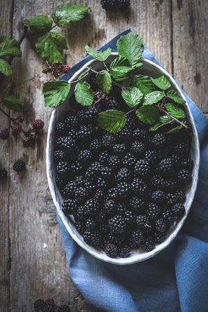 Ripe blackberries garnished by leaves in bowl