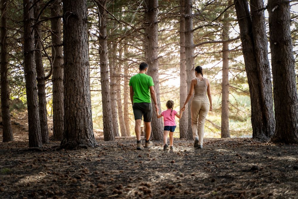Family Walking in Forest - Outdoor Adventure and Quality Time - back view