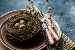 Decorative eggs in delicate nest on ceramic pink plate on table