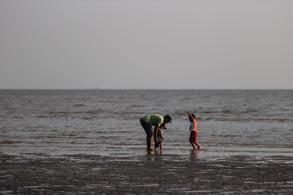 A father helping his son on the beach