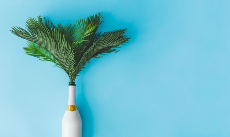 Champagne bottle with tropical green palm leaves on pastel blue background