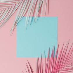 Palm leaves on pastel pink and blue background