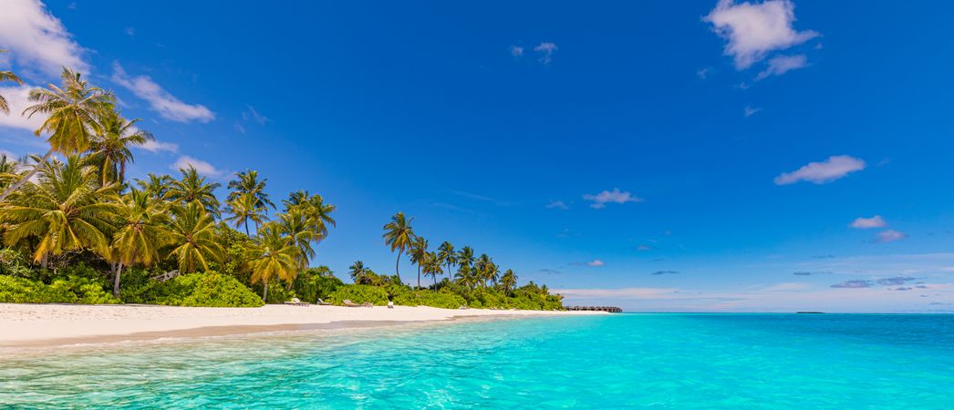 Banner image of a tropical beach resort