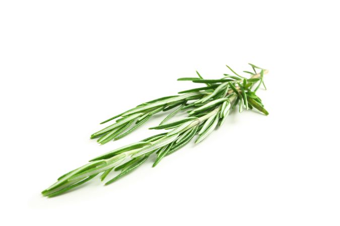 Fresh green rosemary isolated on neutral background