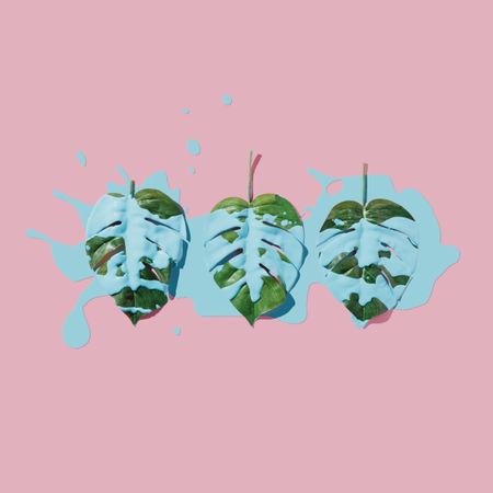 Blue paint splatter over tropical leaves on pink pastel