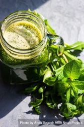 Sunny counter with green smoothie and herbs 5rpL7b