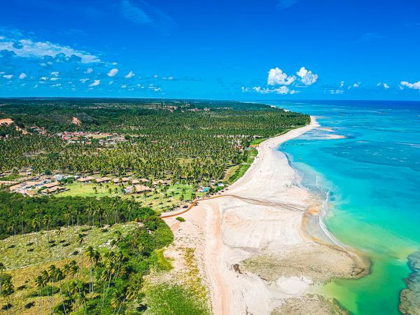 Aerial view of tropical water and lush green palm trees