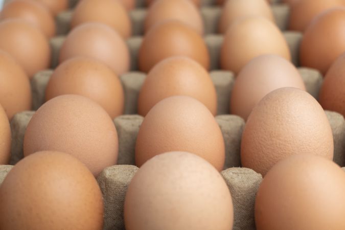close up egg on egg tray