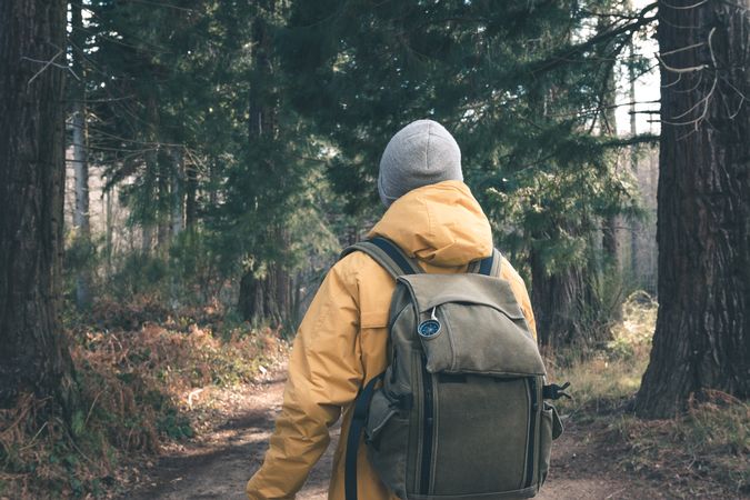 Unrecognizable traveler in conifer forest